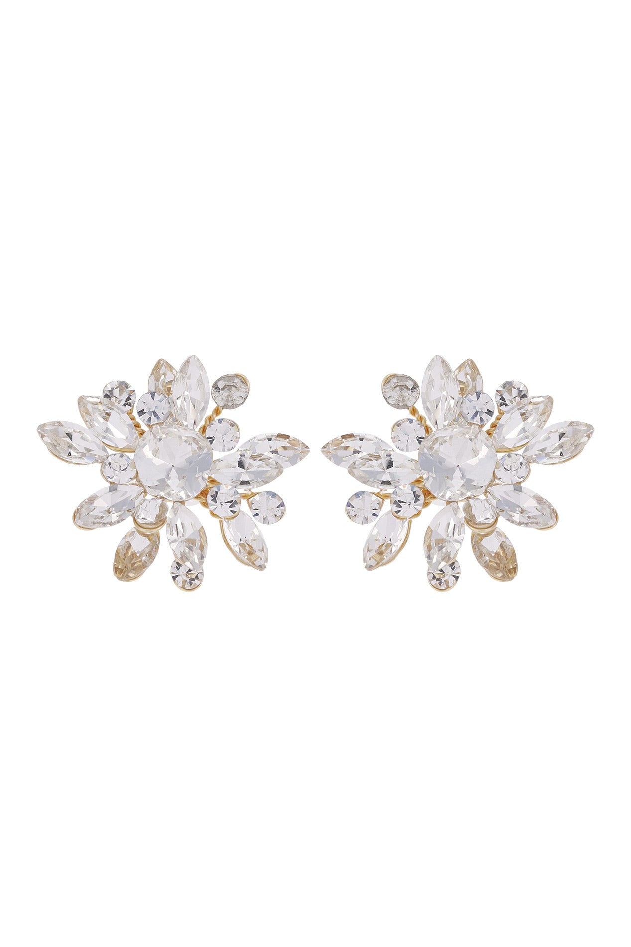 Aretes Monarca