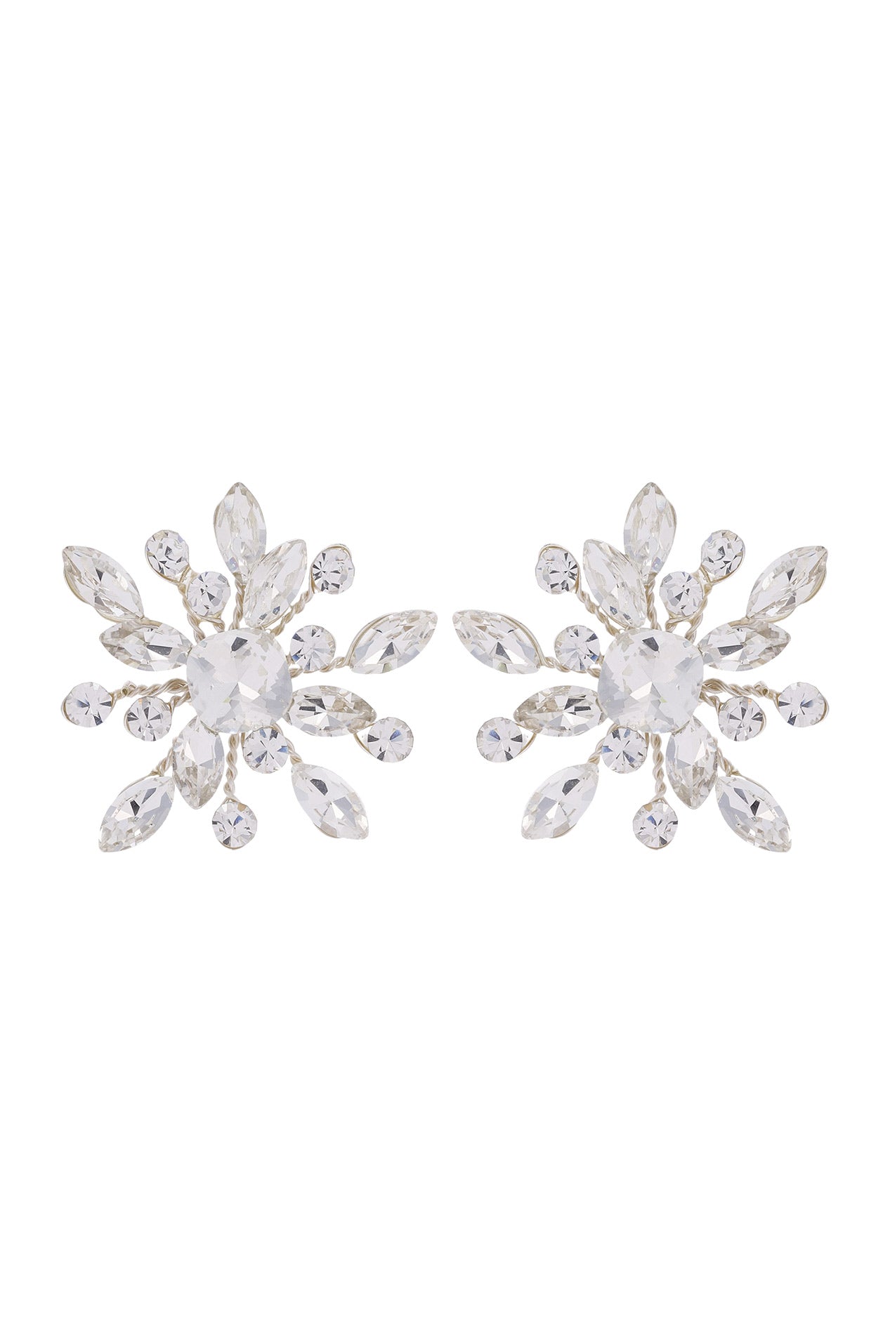 Aretes Monarca